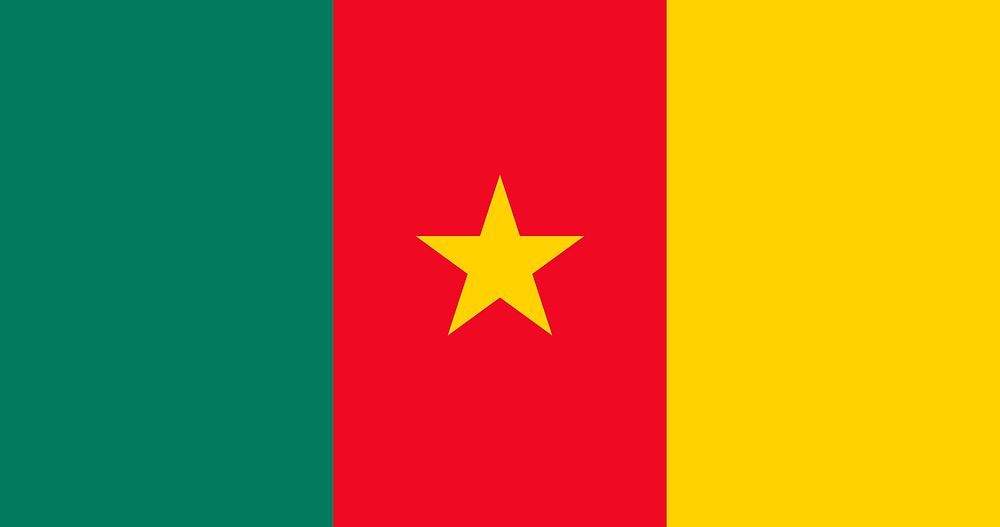 Cameroon flag pattern vector