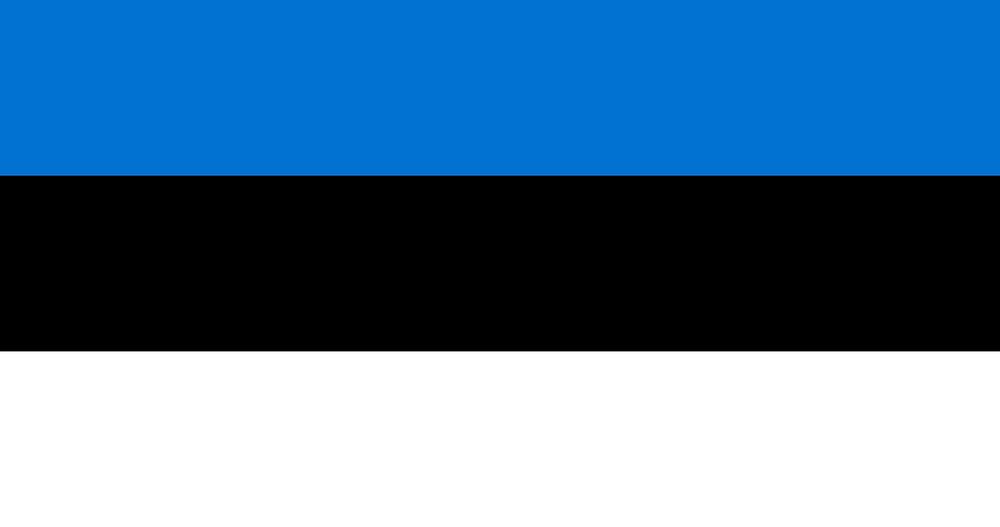 Estonian flag pattern vector