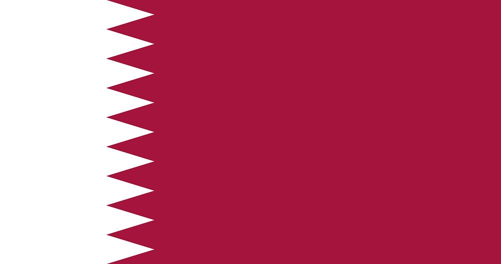 Qatari flag pattern vector