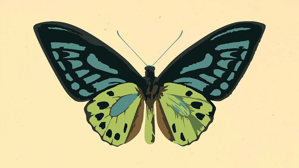 Vectorized butterfly sticker overlay design element 