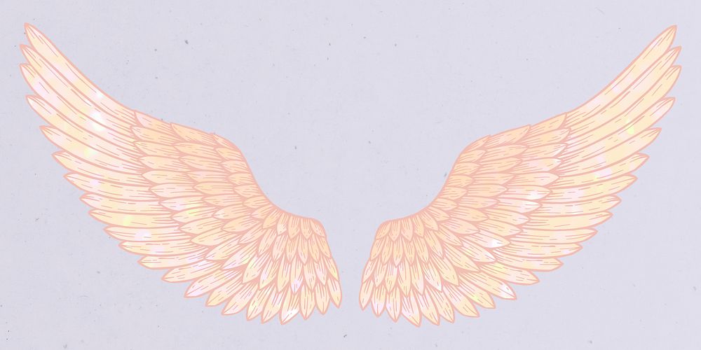 Peach angel wings sticker overlay design resource 