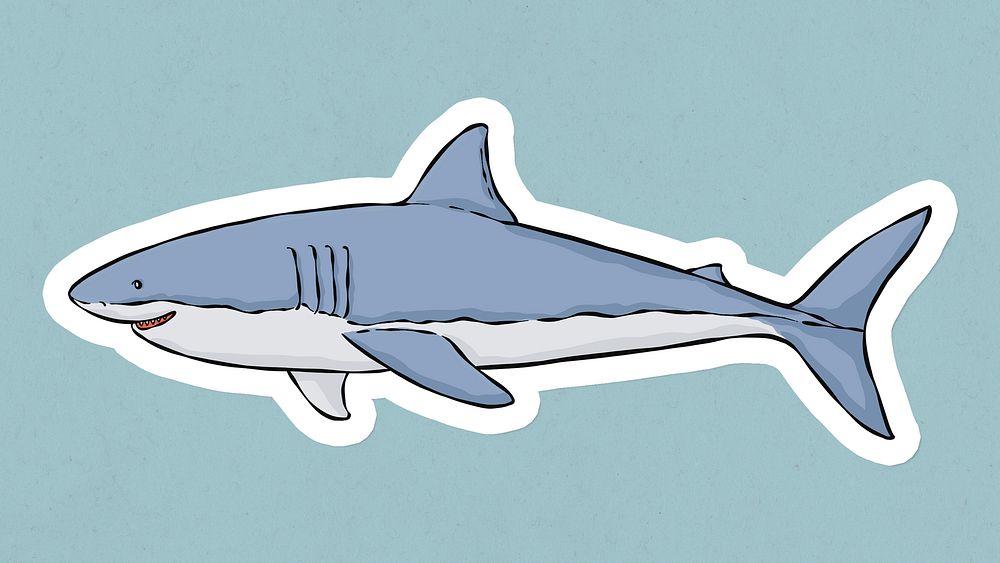 Hand drawn psd shark sticker 