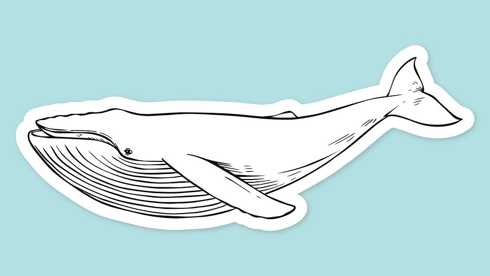 Vector whale vintage black and white clipart