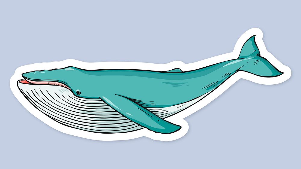 Cartoon sticker whale vintage hand drawn clipart