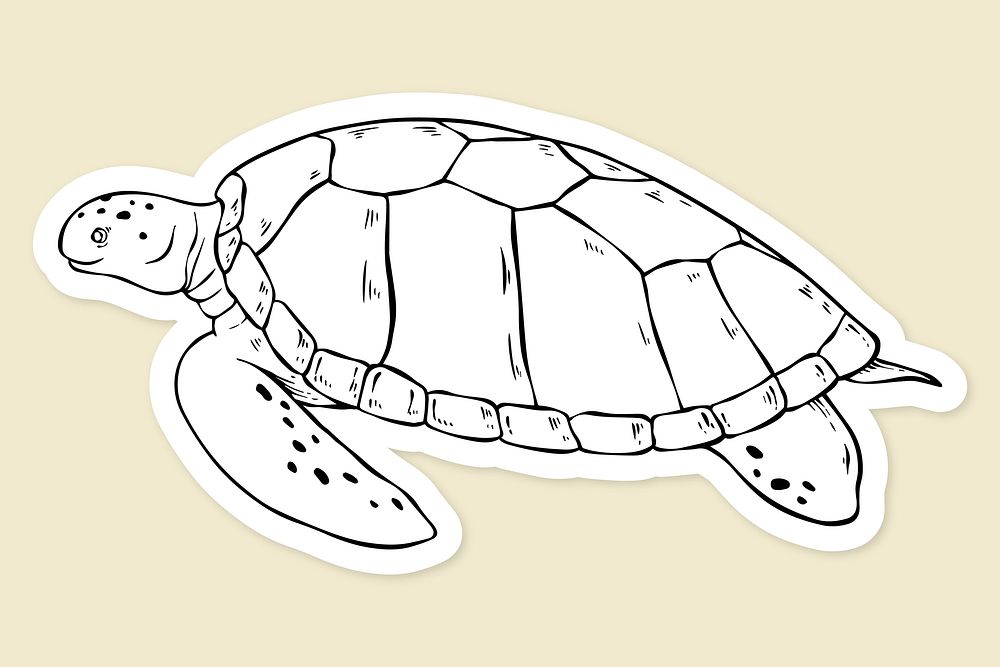 Vintage hand drawn cartoon turtle clipart black and white