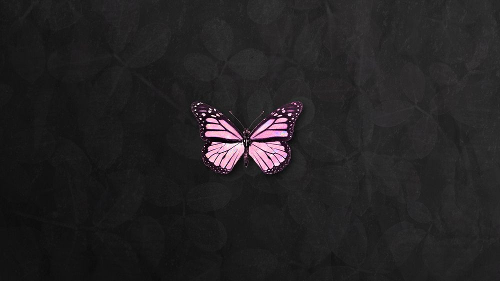 Pink holographic butterfly on a black background