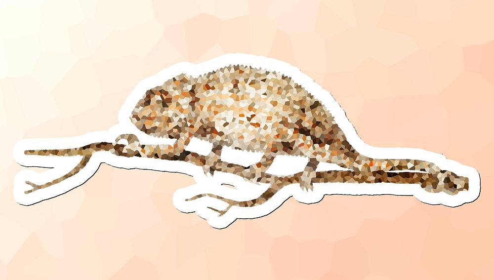 Crystallized style chameleon illustration with a white border sticker