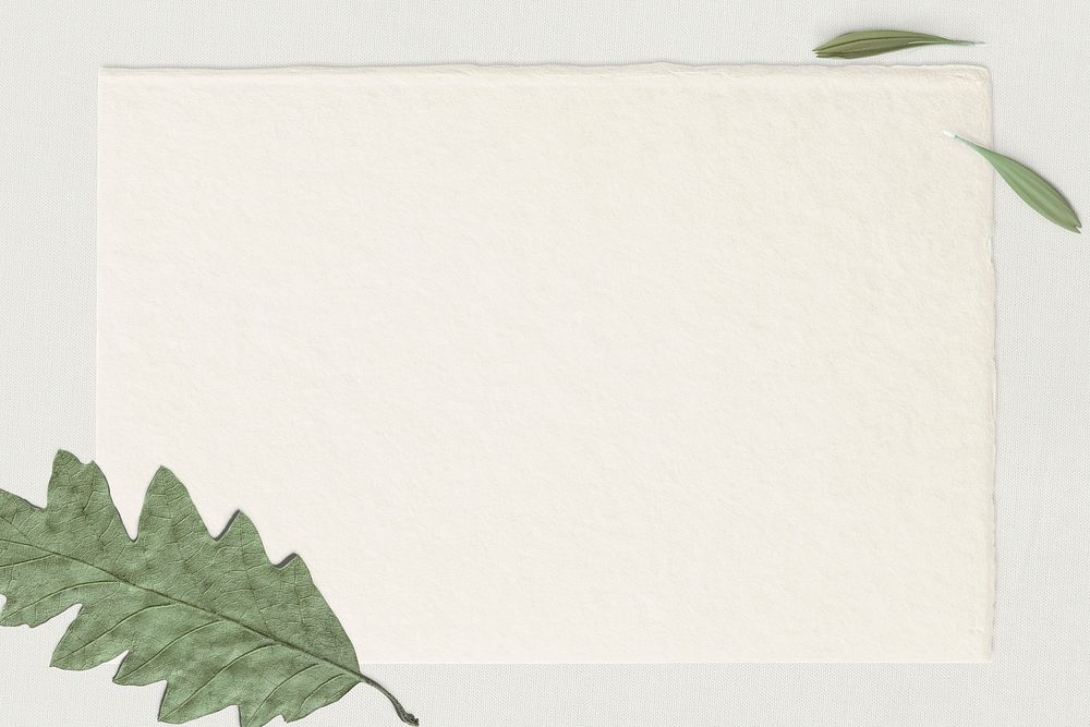 Green oak leaf paper texture background