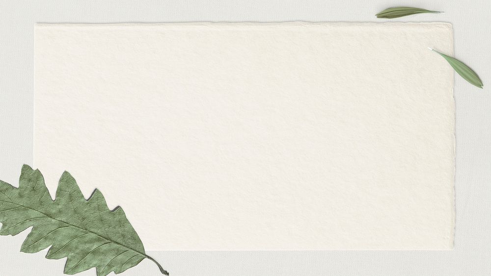 Green oak leaf paper texture background