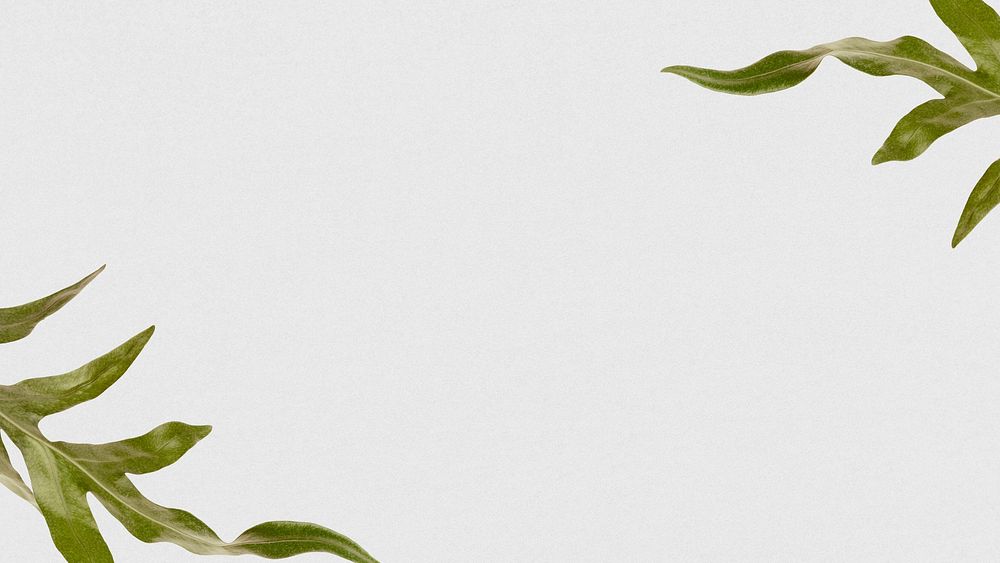 Arrowhead fern leaf border frame plain banner background