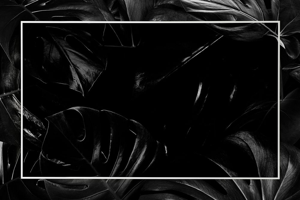Frame on black monstera leaf social media banner background