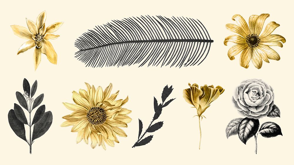 Vintage vector leaf and flowers golden black sticker collection