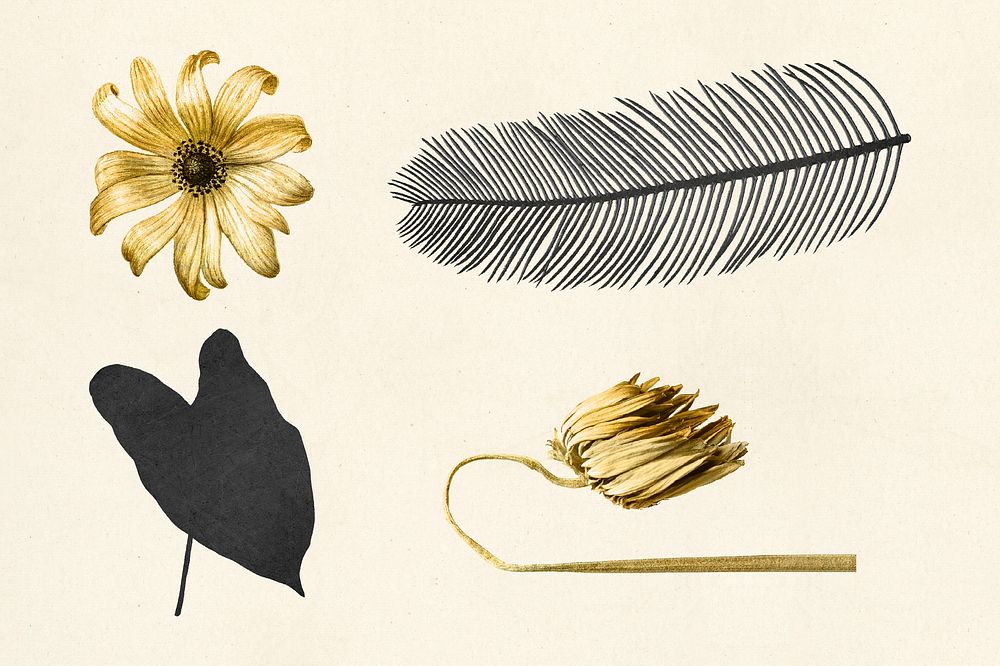 Vintage psd golden black flower leaf metallic illustration  sticker collection