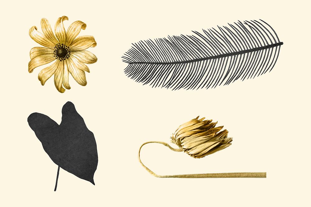 Vintage vector golden black flower leaf metallic sticker collection