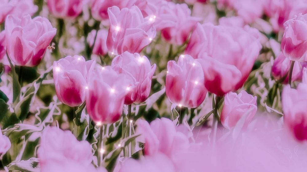 Sparkle tulip floral image background