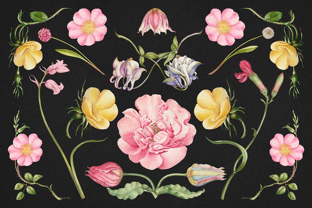 Vintage blooming flower illustration set, remix from The Model Book of Calligraphy Joris Hoefnagel and Georg Bocskay