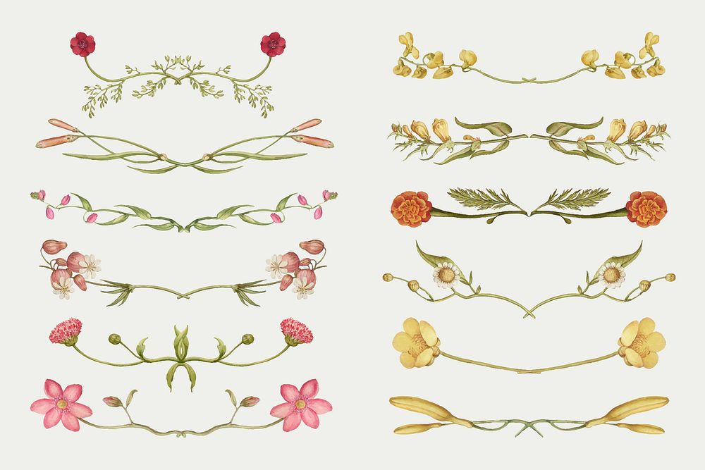 Pink and yellow flower divider vector set, remix from The Model Book of Calligraphy Joris Hoefnagel and Georg Bocskay