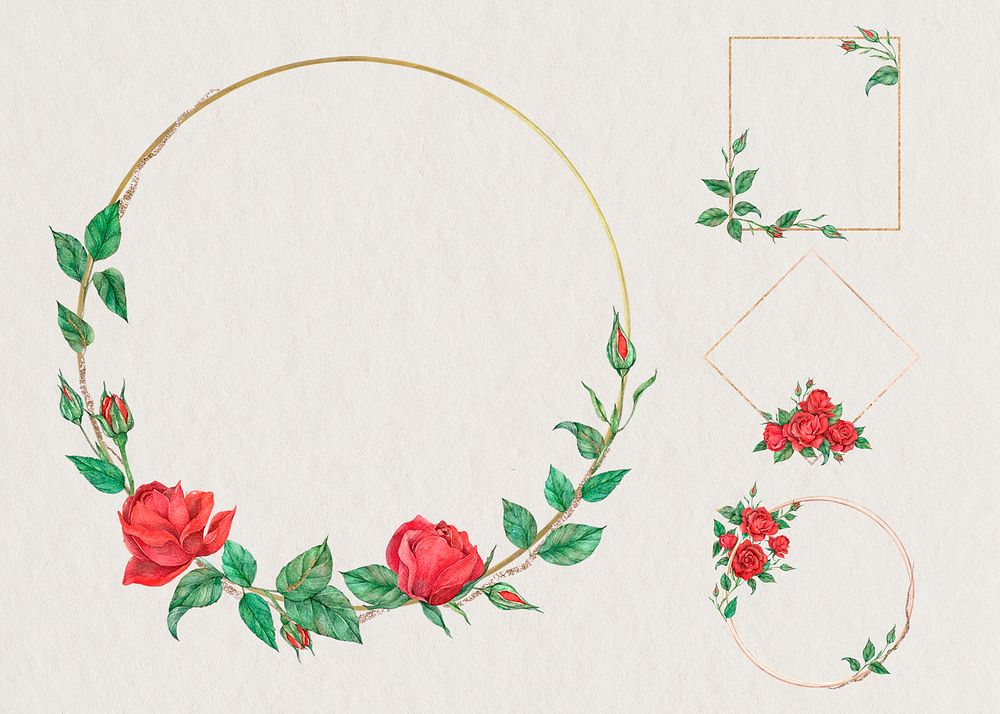 Red rose on gold frame illustration set