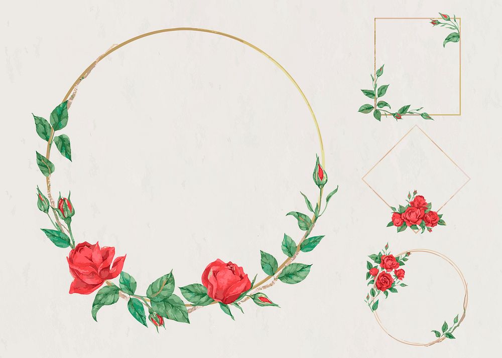 Vector red rose on gold frame set