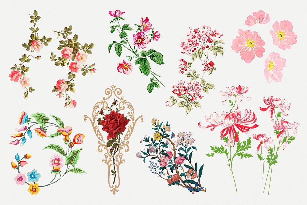 Colorful flowers vintage illustration collection