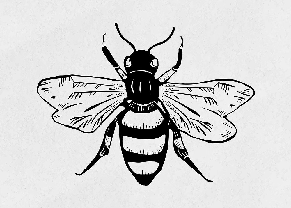 Vintage bee insect linocut stencil pattern clipart