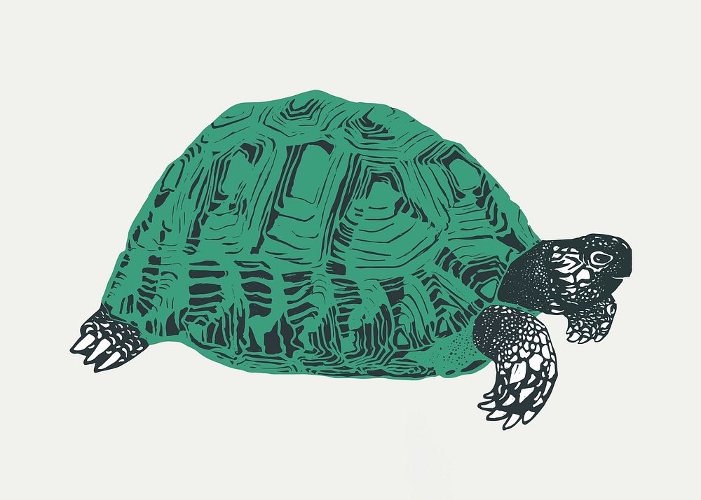 Retro green turtle vector stencil pattern hand drawn