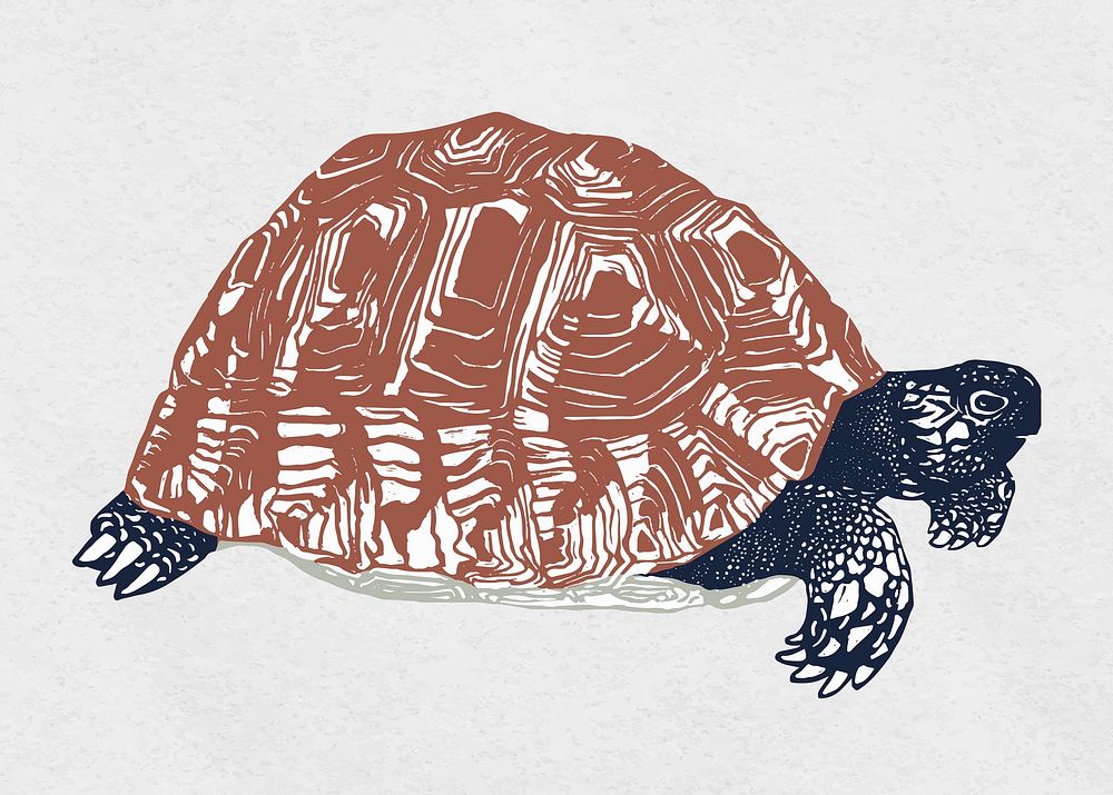 Vintage animal turtle colorful stencil pattern