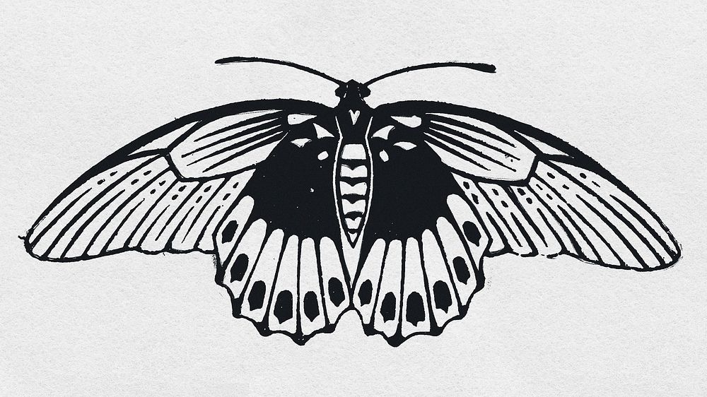 Moth psd linocut style hand drawn clipart