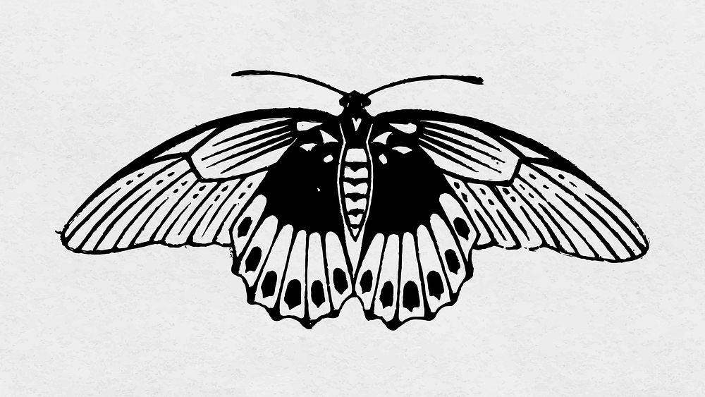 Moth vector black linocut style hand drawn clipart