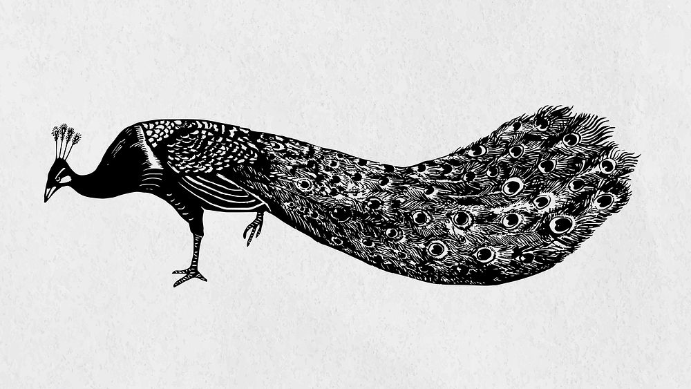 Peacock black bird stencil pattern hand drawn drawing