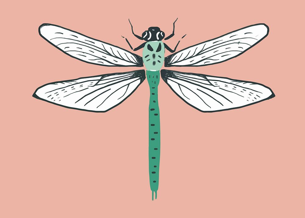 Vintage dragonfly insect stencil pattern