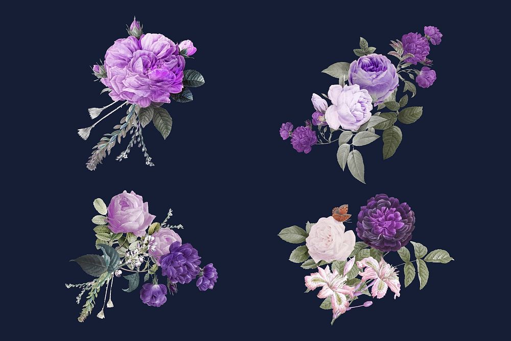 Elegant flower purple roses vector watercolor illustration set