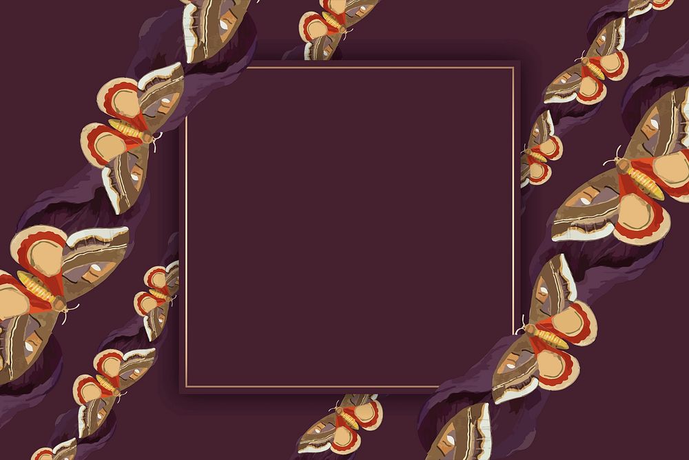 Vintage butterfly pattern frame vector, remix from The Naturalist's Miscellany by George Shaw