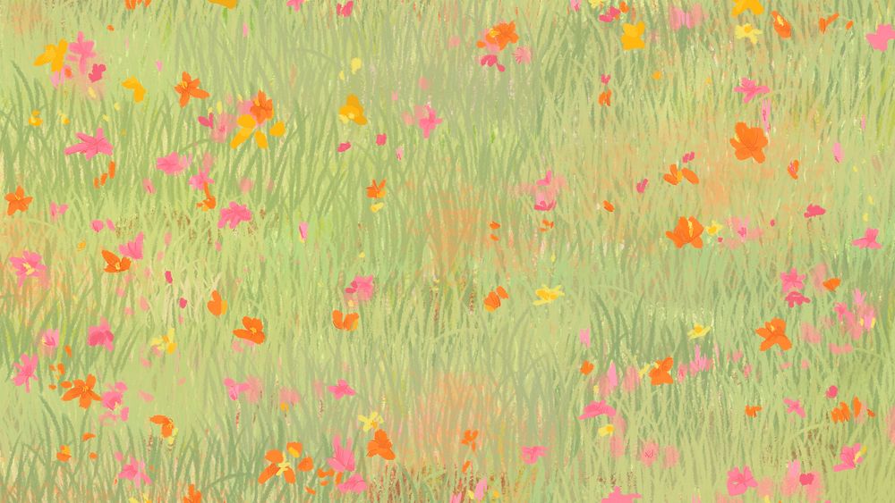 Poppy field bright background bird eye view desktop screen background