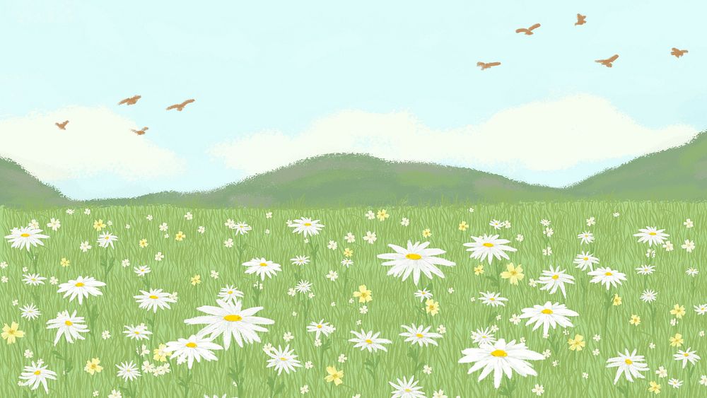 Blooming daisy field psd background with mountain HD wallpaper