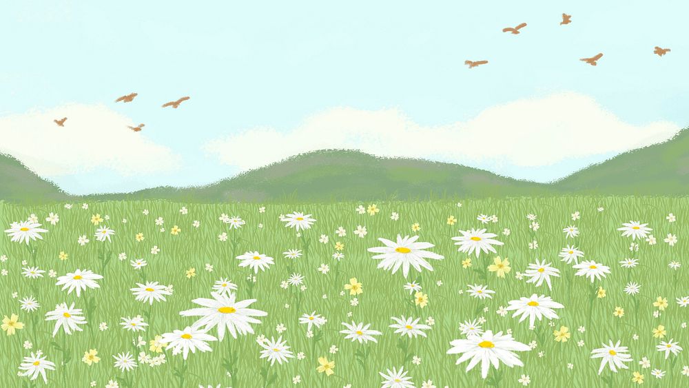 Blooming daisy field background with mountain HD wallpaper