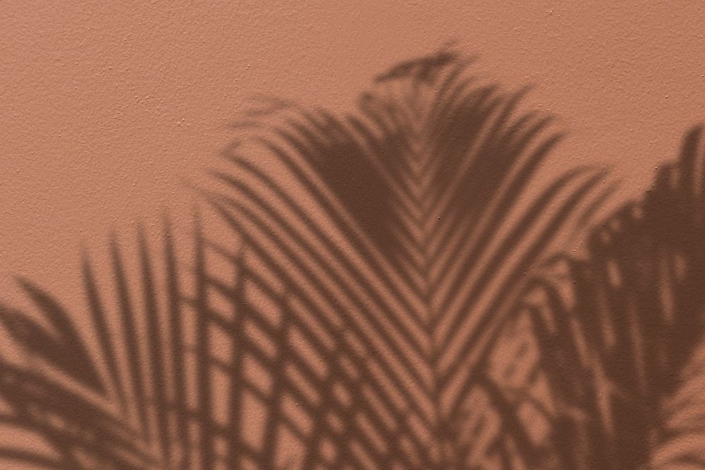 Background with shadow of a palm tree