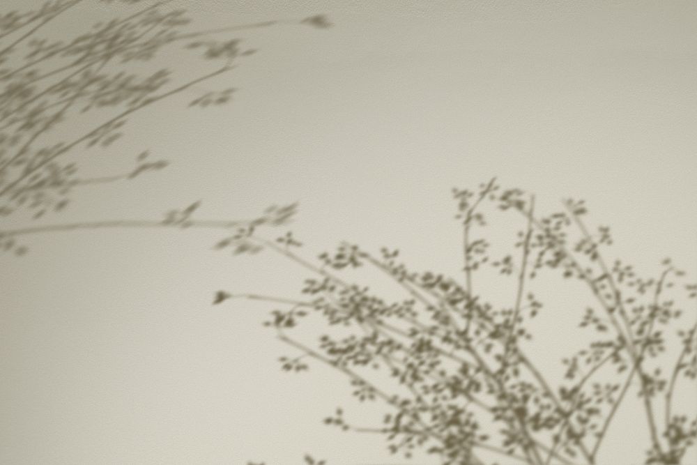 Background with shadow of floral branches