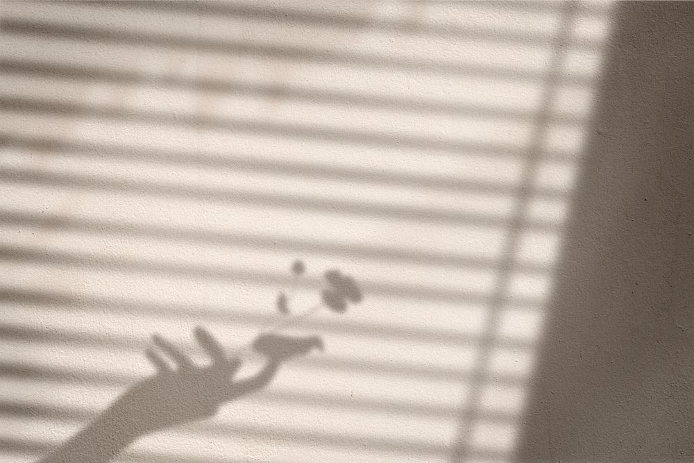 Background with flower in hand and blind window shadow