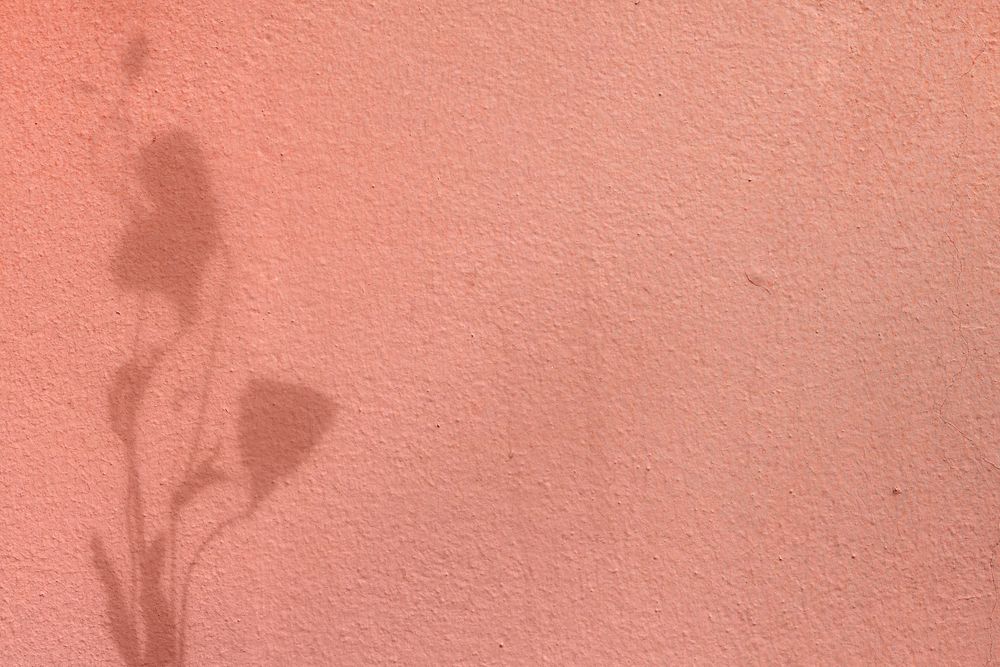 Background  with floral branch shadow on pink concrete