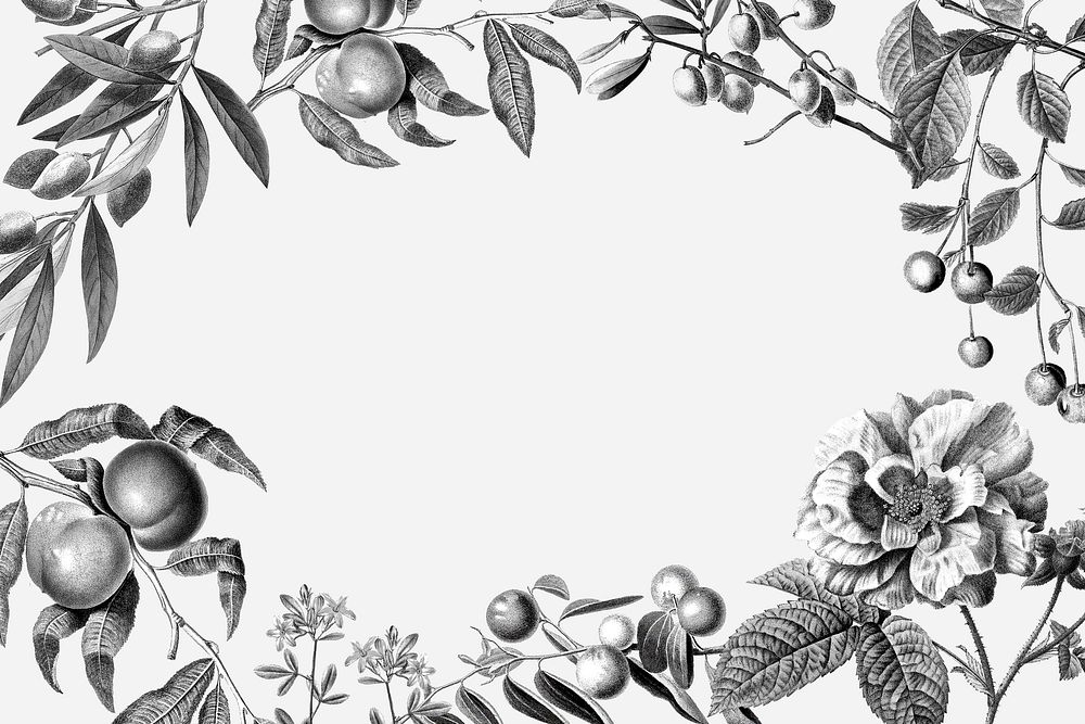 Rose frame vintage floral vector illustration and fruits on white background