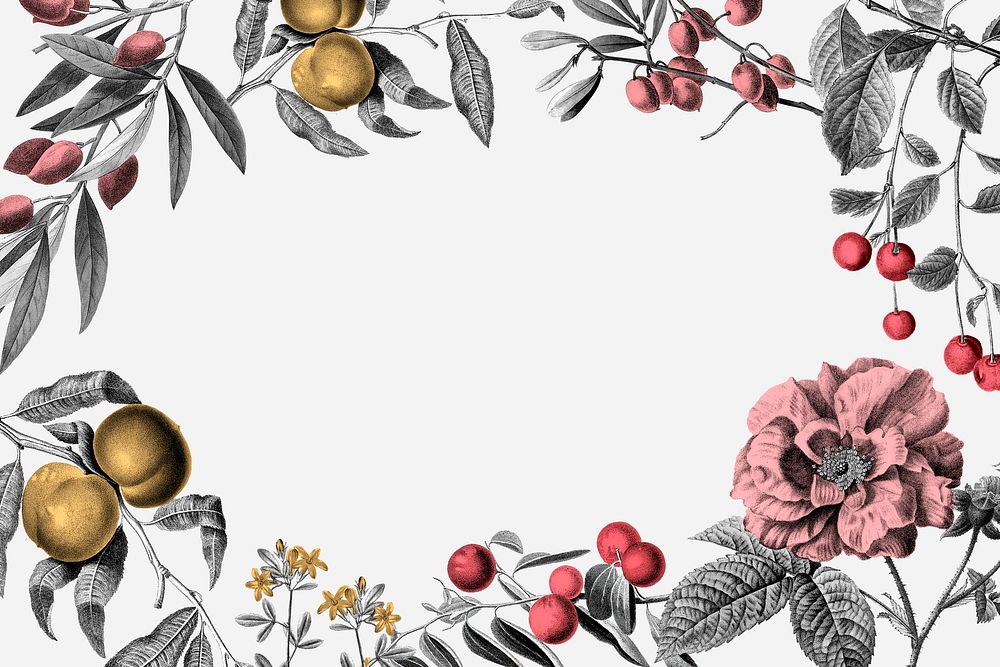 Rose frame pink vintage botanical illustration and fruits on white background