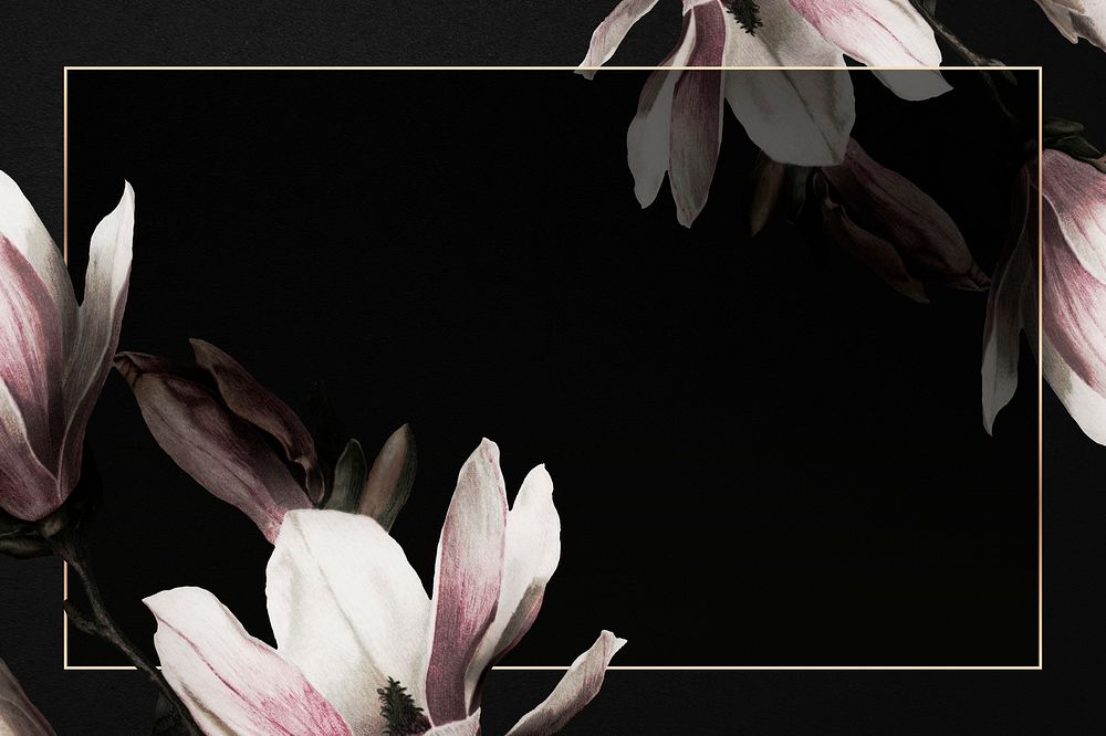 Magnolia border frame on black background