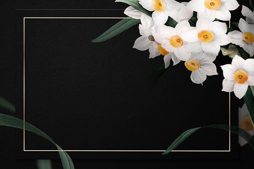 Gold frame with daffodil border on black background