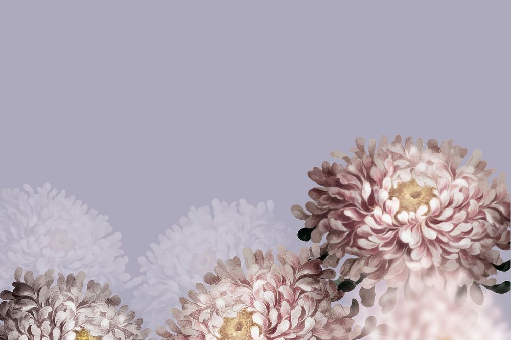 Aster border vector on purple background