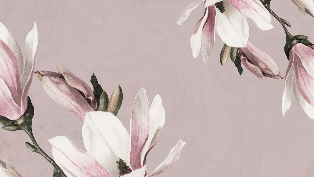Magnolia flower on beige presentation background