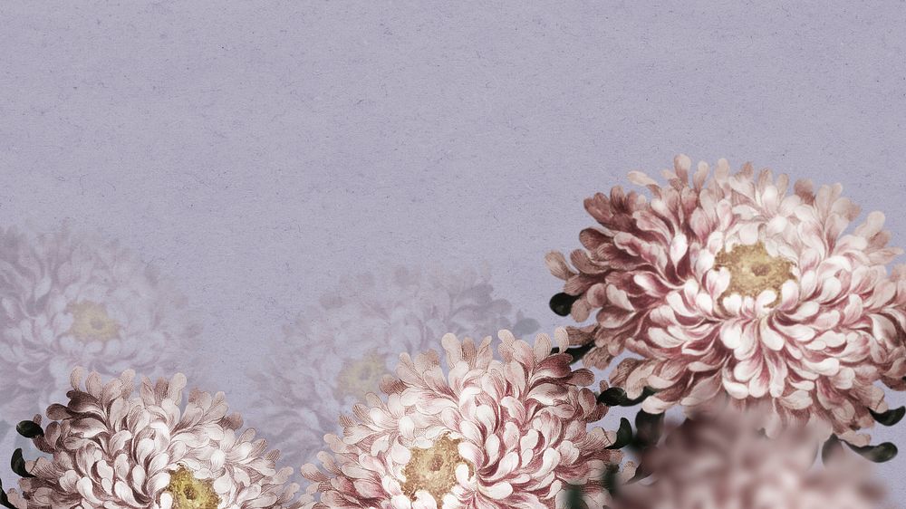 Aster flower on purple presentation background