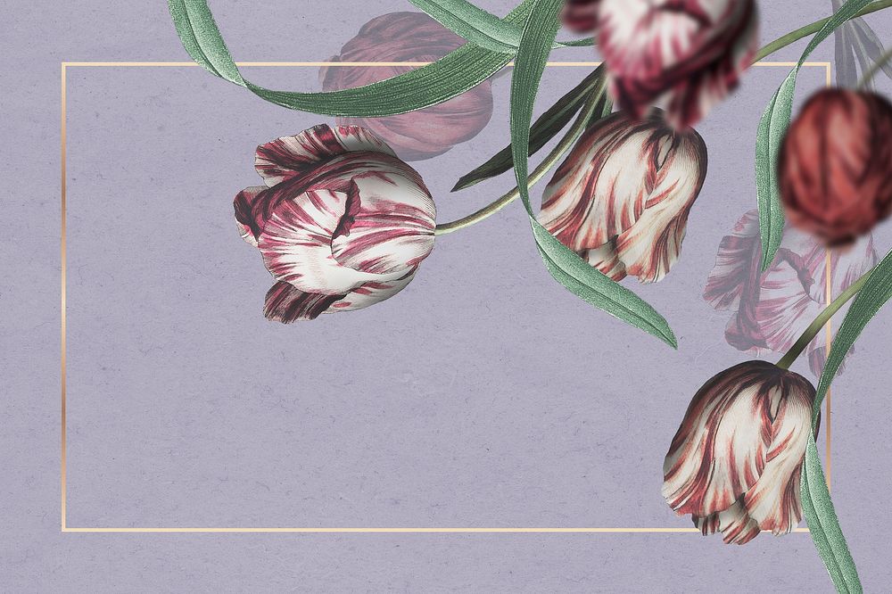 Tulip border frame on purple background