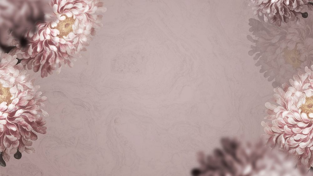 Aster flower on beige presentation background