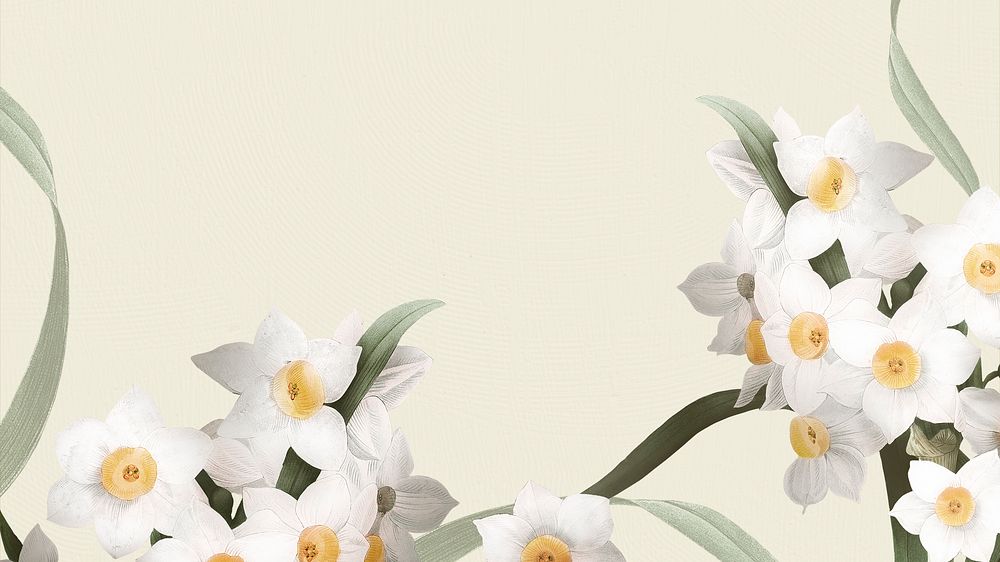 Easter presentation background with daffodil flowers